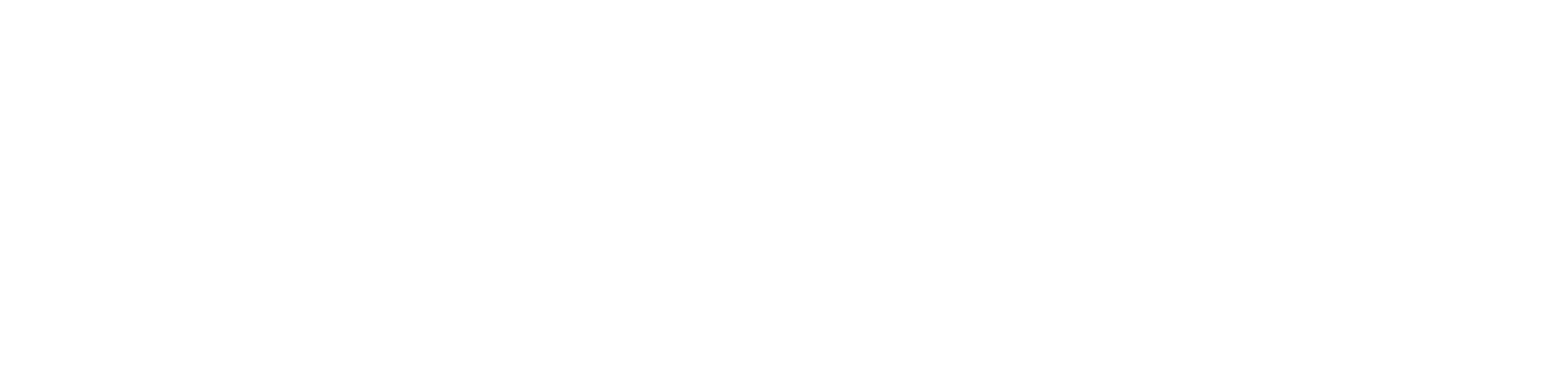 Record Media